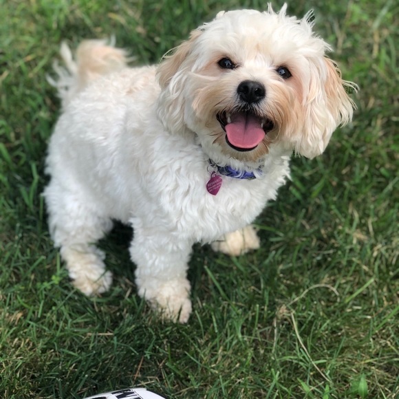 WB here.  Thanks for visiting my closet! - Picture 1 of 2